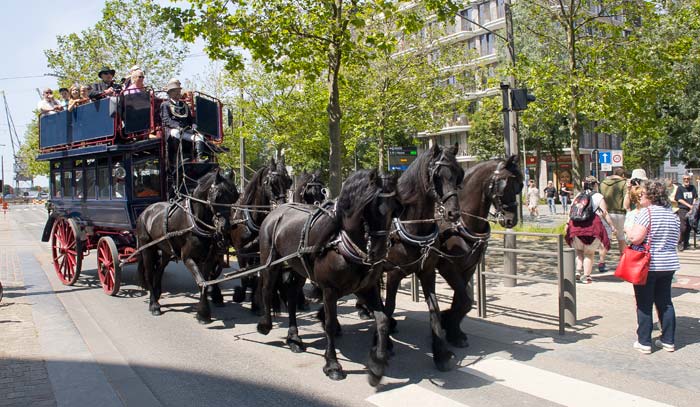Paardenomnibus brengt liefhebbers in extase aan 't Eilandje