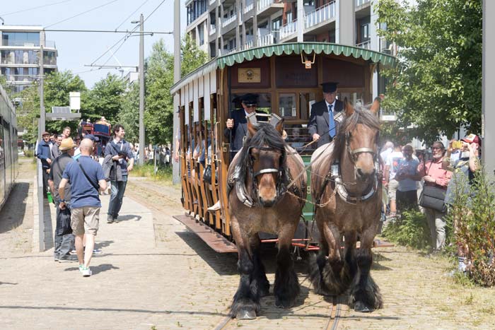 Paardentram op Tramfeest in Antwerpen